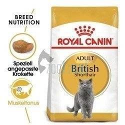 ROYAL CANIN British Shorthair Adult 4kg + Überraschung für die Katze