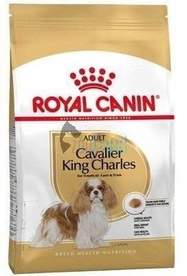 ROYAL CANIN Cavalier King Charles Spaniel Adult 1,5kg+Überraschung für den Hund