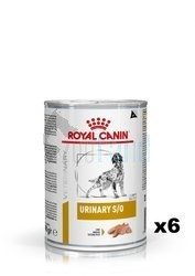 ROYAL CANIN Urinary S/O 6x410g 
