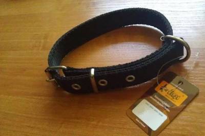 DINGO Polypropylen Gurtband-Halsband 4,0cm x 70cm, schwarz - starkes Hundehalsband