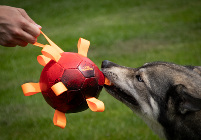 Hundekometen HYPERNOVA super ball orange