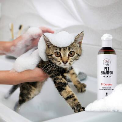 PET Shampoo Vitamin_Shampoo 250ml Nährend und pflegend + PETS HOME AIR ENTRY SENSITIVE NEUTRALIZER 170 g
