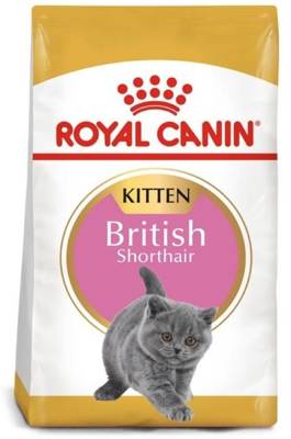 ROYAL CANIN British Shorthair Kitten 2kg