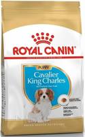 ROYAL CANIN Cavalier King Charles Spaniel Junior 1,5kg 